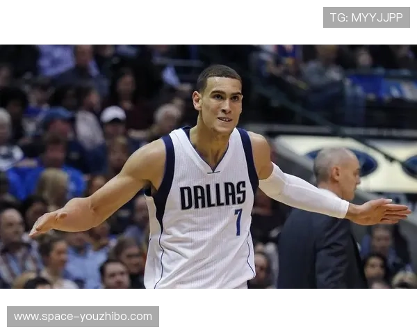 德怀特·鲍威尔：从交易添头到独行侠队魂