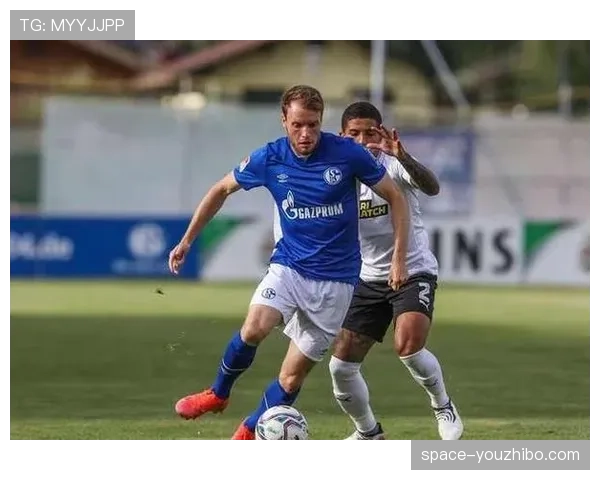 现场：尽管球队降级在即，达姆施塔特球迷仍高歌全程